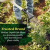 Medina Liquid Fish Blend Quart - 2-3-2 Fertilizer for GRO,