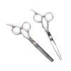 Stainless Steel Thinning, Thickening, and Cutting Hairdressing Barber Scissors - W8625D7 / 스테인리스 틴닝용 숱전용 컷팅용 미용 이발 가위-W8625D7