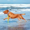 Wolfone Yellow 9m Long Line Lead Waterproof Recall Training Dog