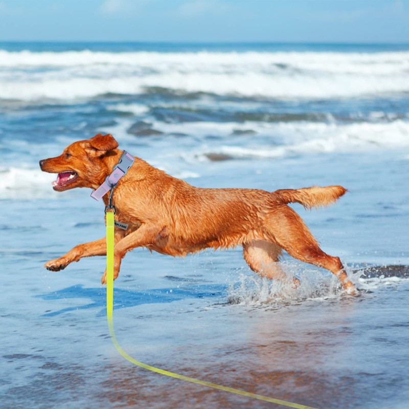 Wolfone Yellow 9m Long Line Lead Waterproof Recall Training Dog