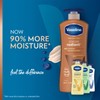 Vaseline Intensive Care Body Lotion for Women & Men -