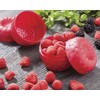 Hutzler Raspberries To-Go Snack Container Bento Box