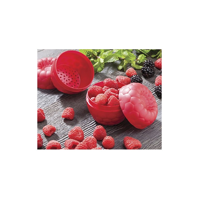 Hutzler Raspberries To-Go Snack Container Bento Box