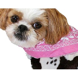 Pet Costume - Cowgirl (X-SMALL)