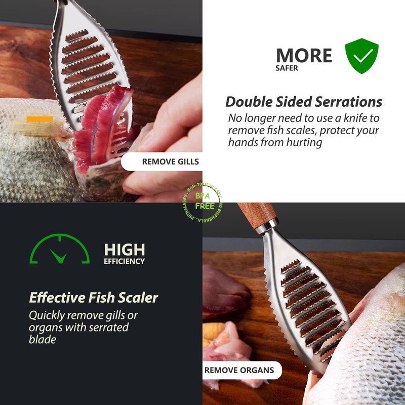 Stainless Steel Fish Scale Remover, Manual Fish Scaler with Wood