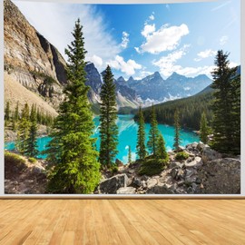 Wall Hanging Mountains, Tapestry Nature Landscape Lake Wall Towel XXL Wall Towel Forest Sky Clouds Fabric Washable Spring Landscape Tapestry 350 x 256 cm