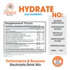 Genius Hydrate Stick Pack Powder Drink Mix – Blue Raspberry