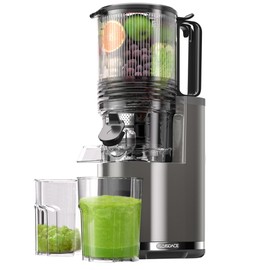 Floisdace J8 Cold Press Juicer, 6.5" Extra Wide Feed Chute Juicer Machines, 350W Slow Juicer Machines with High Juice Yield for Whole Vegetables & Fruits, BPA Free (Titanium Gray)