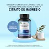 Life 360 Citrato Magnesio Alta Pureza 180 Cápsulas 2598 Miligramos
