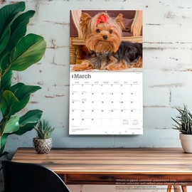 For the Love of Yorkshire Terriers | 2026 14 x 24 Inch (Hanging) Monthly Deluxe Wall Calendar | Foil Stamped Cover | Plastic-Free | BrownTrout | Animal Small Dog Breeds