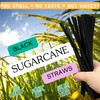 x50 Drinking Straight Straws-Disposable Compostable & Eco Friendly-Made from Sugarcane