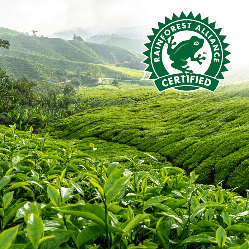 Red Rose Orange Pekoe Tea Bags 72ct, (Imported from Canada)