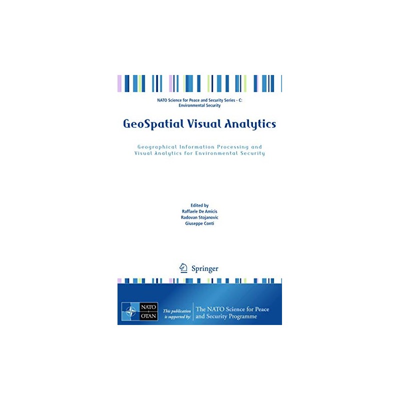GeoSpatial Visual Analytics: Geographical Information Processing and Visual Analytics for