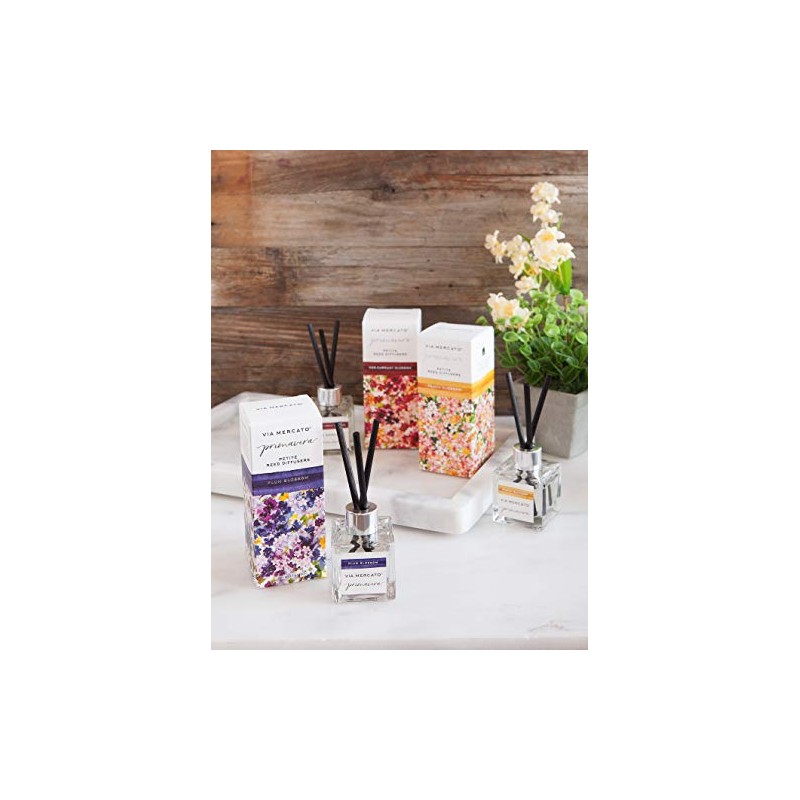 Via Mercato Primavera Spring Collection, Petite Reed Diffuser, Red Currant