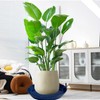 Plant Saucer Blue Ceramic Deep Pot Tray - 2 Pack