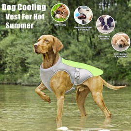 Dolahovy Dog Cooling Vest Harness,Breathable Mesh Dog Cool Jacket Adjustable Summer Dog Coat Reflective Safety Ice Clothes for Large Medium Small Dogs Walking Outdoor (S, Green)