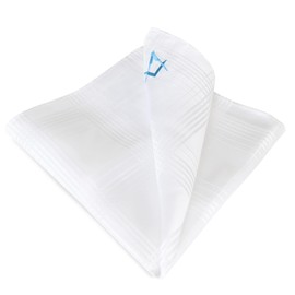 The Masonic Collection 100% Silk Pocket Square White Light Blue, White
