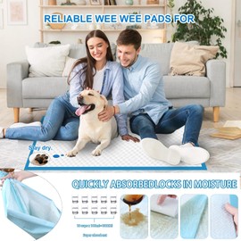 XXXL Puppy Pee Pads for Dogs 31"x47" 100 Count, Extra Large Dog Pee Pads, Leak-Proof & Super Absorbent Dog Pee Pads, Thicken Disposable Potty Pads Puppy Training Pads for Cats Rabbits