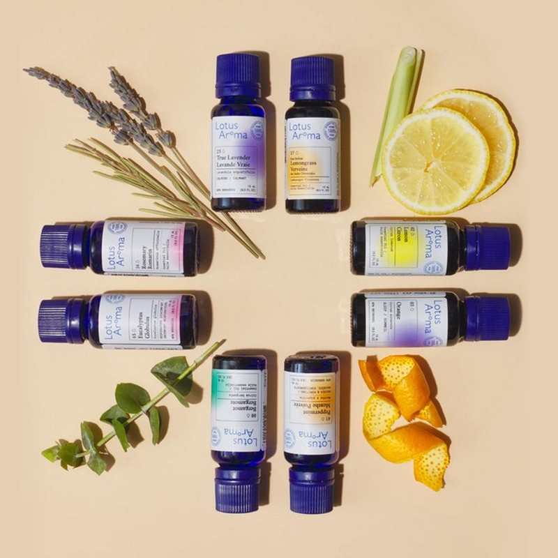 Lotus Aroma Essential Oil, Cypress, 0.5 Fluid Ounce