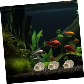 Sosoport 200pcs Conch Shell Decorations Seashells Fish Tank Decorations Hermit Crab Shell Replacements DIY Conch
