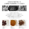ANBAN Japanese Chinese Shampoo, No Rinse Required, Fluffy, Smooth, Natural