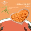 Sussex Wholefoods: Organic Red Split Lentils 500g - Protein-Packed, Quick-Cooking