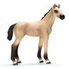 Schleich Akhal Teke Foal Figure