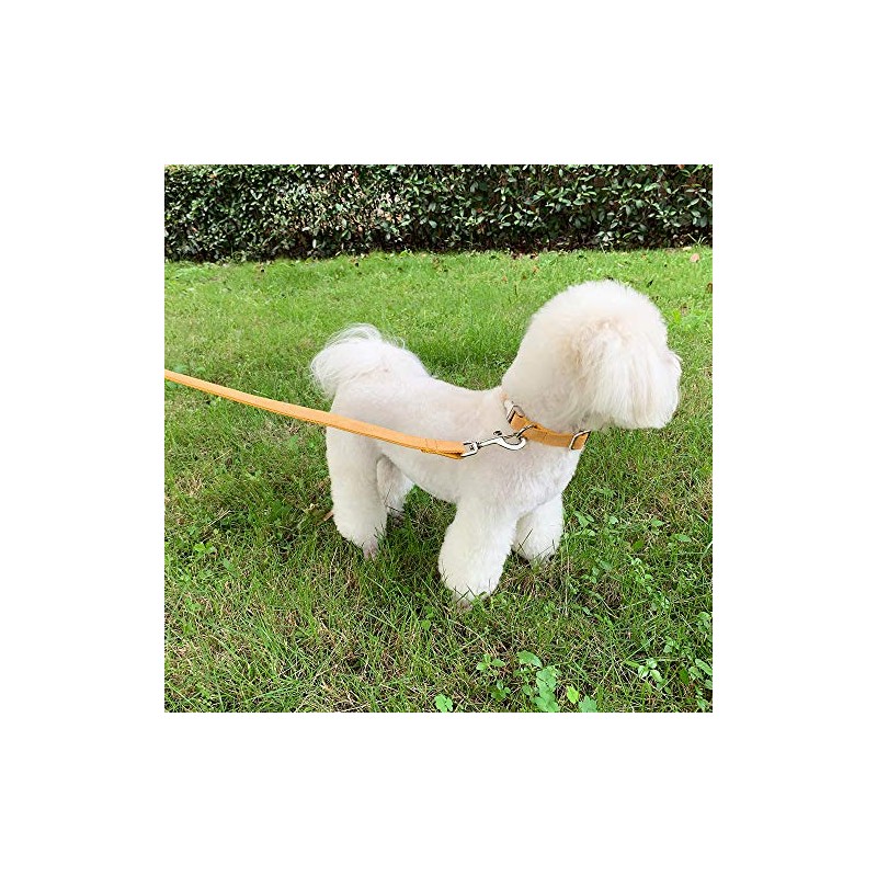 Collar de Perro Personalizado, Personalizado Grabado con láser Collares con