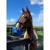 GREENGUARD Premium Breakaway Safety Halter with Padded Nose and Crown