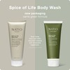 Natio Spice of Life Body Wash for Men 210 ml,