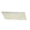 2 3/8" x .113 Screw 304SS Strip Nails 21-DEG Plastic 1,000ct | SS08D-SCREW