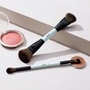 Jessup Brush Set Make Up Brush Set, 2-Piece Makeup Brush,