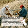 Palo Santo Incense Cones from Peru, Handmade Cones, Premium Sacred