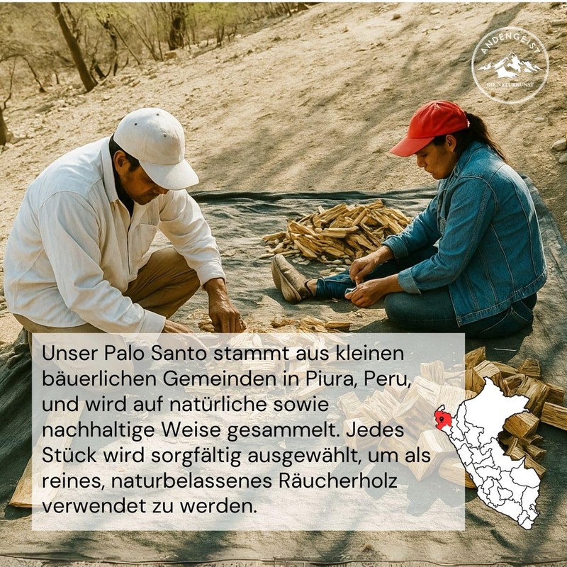 Palo Santo Incense Cones from Peru, Handmade Cones, Premium Sacred