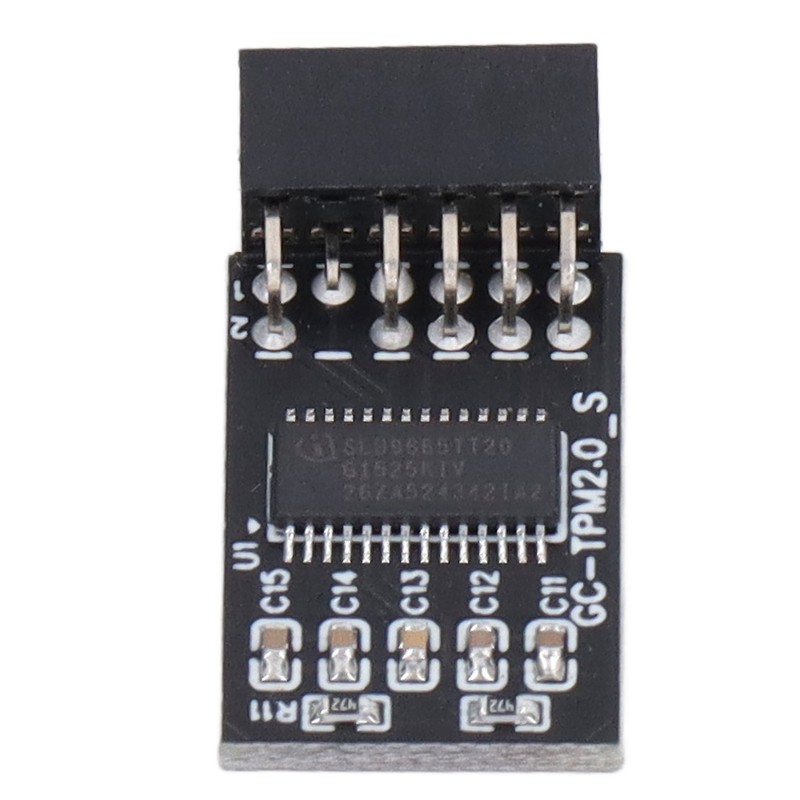 TPM 2.0 Module LPC SPI 12Pin Remote Card Encryption Security