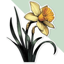 Azeeda 'Daffodil Flower' White Premium Vinyl Decal Sticker – Waterproof, Durable & Easy to Apply - Ideal for Car Bumpers, Windows, Bins and More (DW00123207)