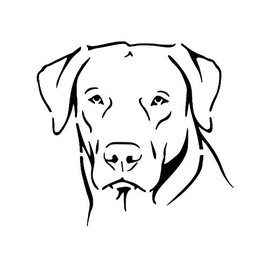 LABRADOR Dog Breed Face Retriever 8.5" x 11" Stencil 20 Mil Plastic Sheet NEW S143
