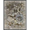Bead Mixes By Color:_Coffee_Extra Large - $34.99