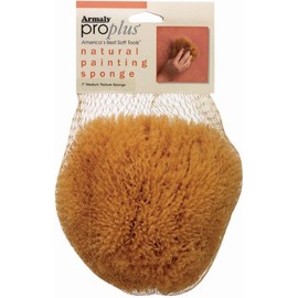 ProPlus Natural Painting Sponge Medium Texture, Small, No Size, Brown