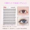 ISHR False Eyelashes, Partial False Eyelashes, 10 Pairs, Large Capacity,