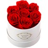 Beaulasting Long Lasting Preserved Roses in a Box Last a