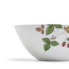 Wedgwood 1068924 Wild Strawberry Casual Bowl Plate, 6.3 inches (16