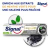 Signal Nature Elements Charcoal & Detox Toothpaste 75ml Tube
