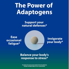 Sun Chlorella Sun Ukogi Organic Eleuthero Root 200 mg Siberian Ginseng Supplement - Natural Adaptogen Well Being & Endurance Supplement for Women & Men - Non-GMO - 240 Tablets