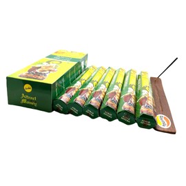 Govinda Attract Money Incense Sticks & Holder Bundle (120 Sticks, 2 Packs)