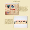 Folding African Stone Game Wooden Intellectual Logic Thinking Training Parent