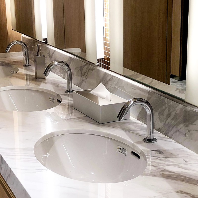 Stainless Steel Tissue Case Wall Mount