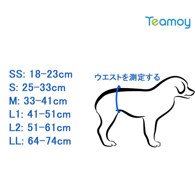 Teamoy Dog Manners Belt, Set of 3, Mesh Lining, Waterproof
