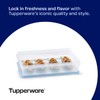 Tupperware Snack-Store Large Container, Dishwasher Safe and BPA Free Container