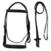 Equitem Leather English Fancy Stitched Padded Bridle with Matching Web